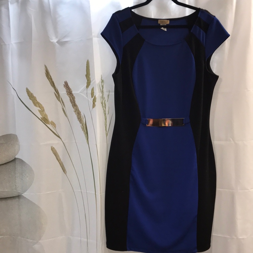 Black and Blue Belted Dress